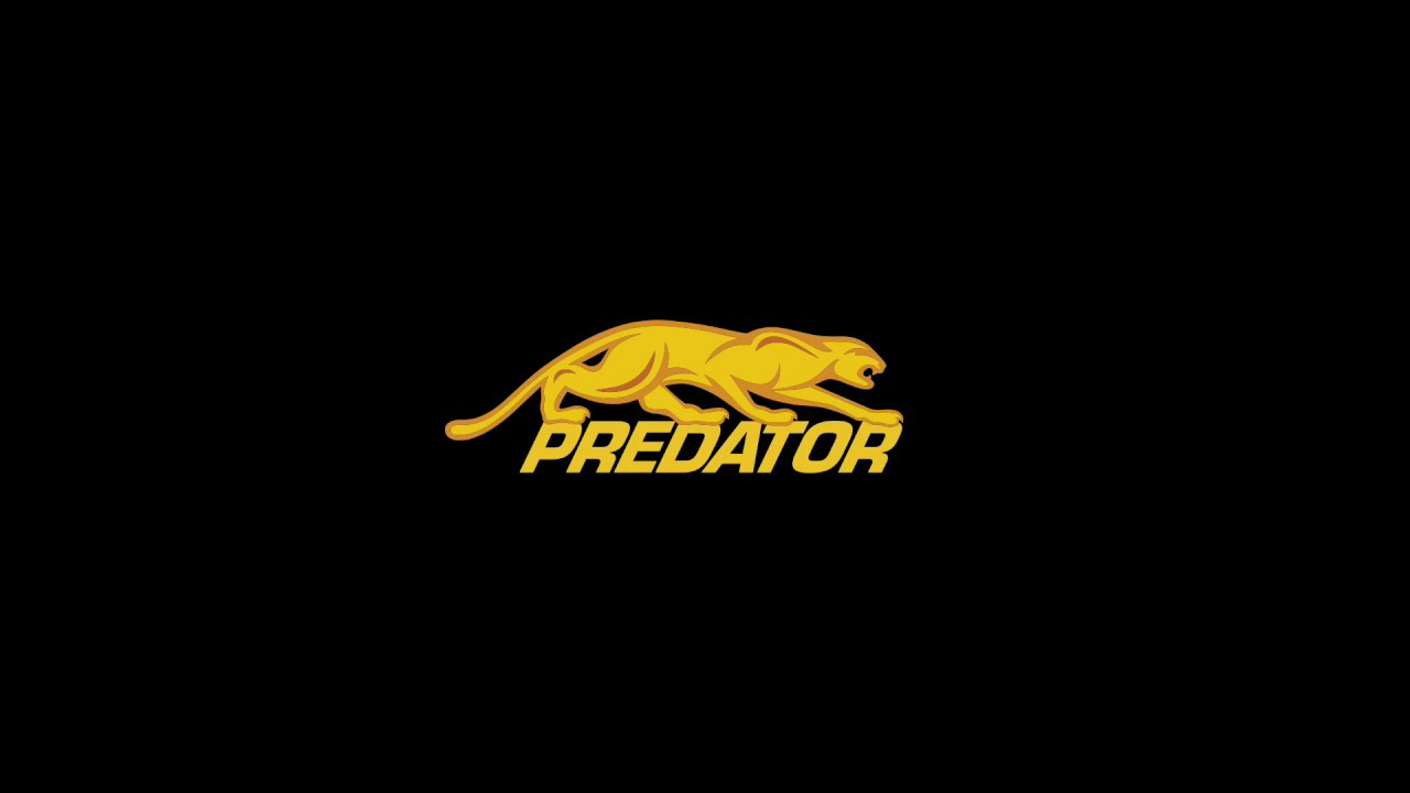 La mejor guía para comprar un taco de billar Predator